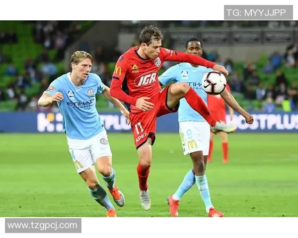 悉尼FC与中央海岸激情对决直播全程回顾与精彩瞬间分析