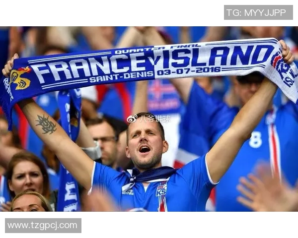 竞彩005法国对冰岛分析预测及赛事前瞻详解